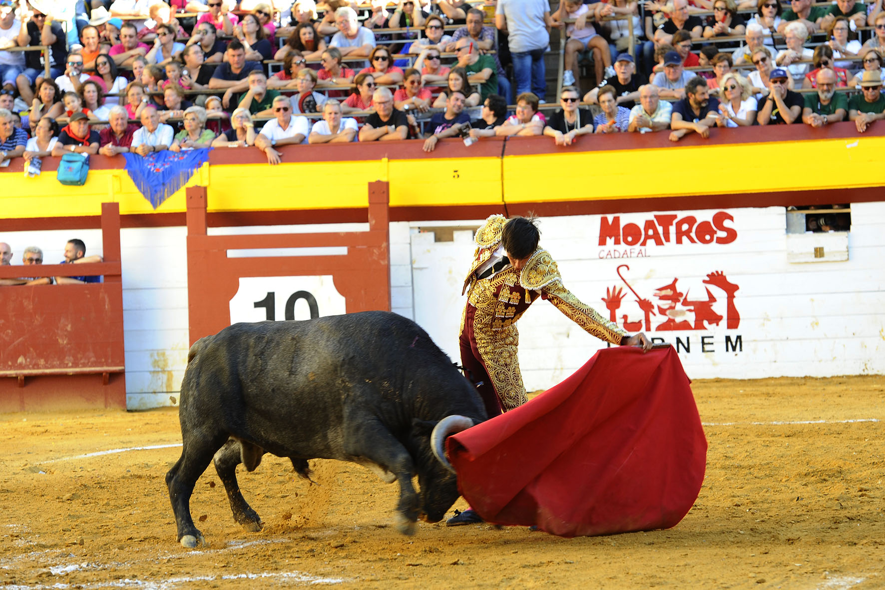Algemesí (Valencia) - Novillada - Sábado 29 de septiembre de 2018