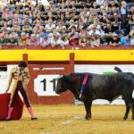 Algemesí (Valencia) - Novillada - Sábado 29 de septiembre de 2018
