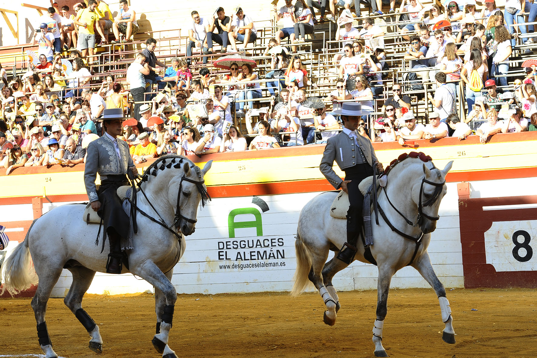 Algemesí (Valencia) - Festejo de rejones - Domingo 30 de septiembre de 2018