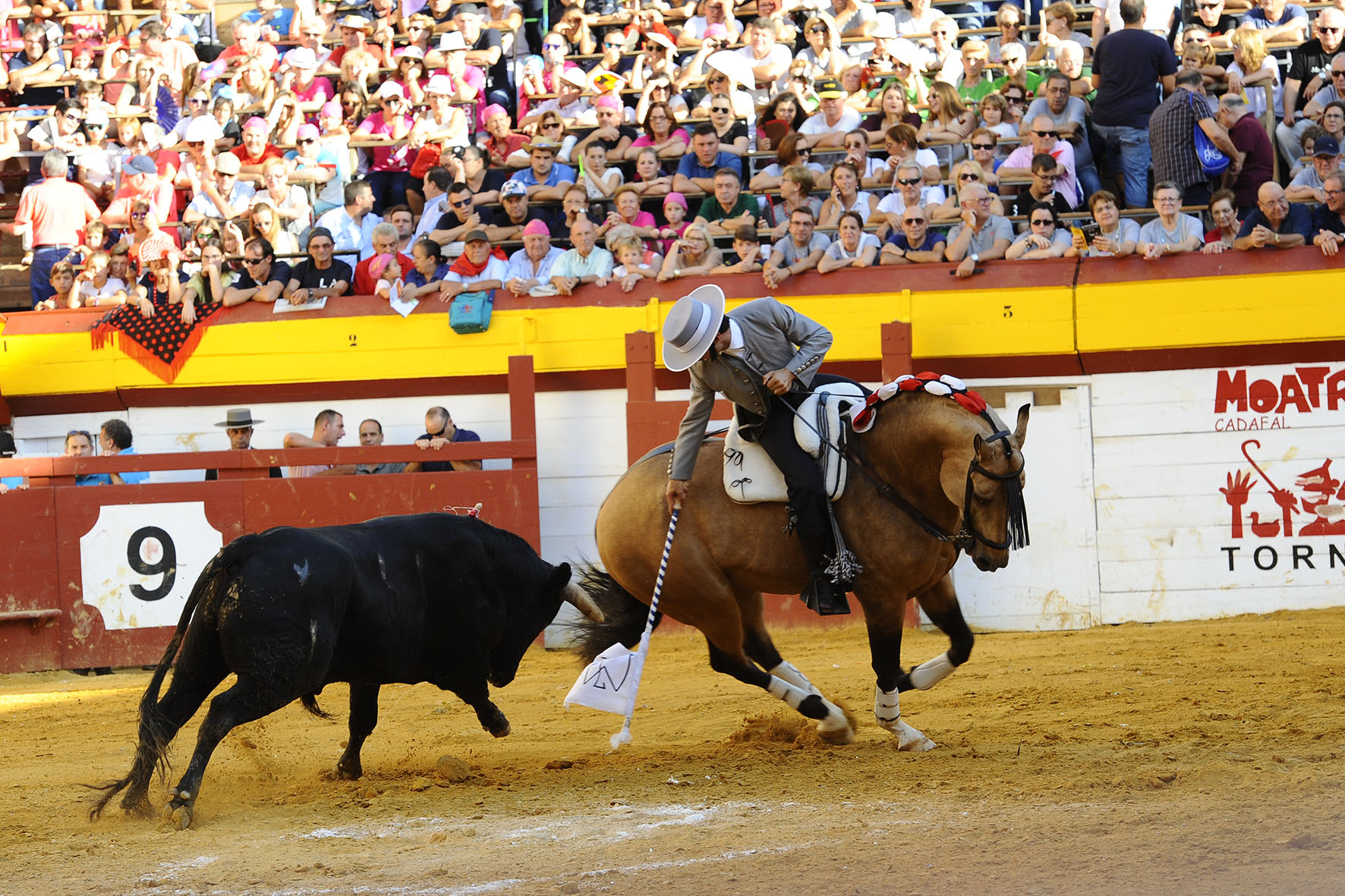 Algemesí (Valencia) - Festejo de rejones - Domingo 30 de septiembre de 2018