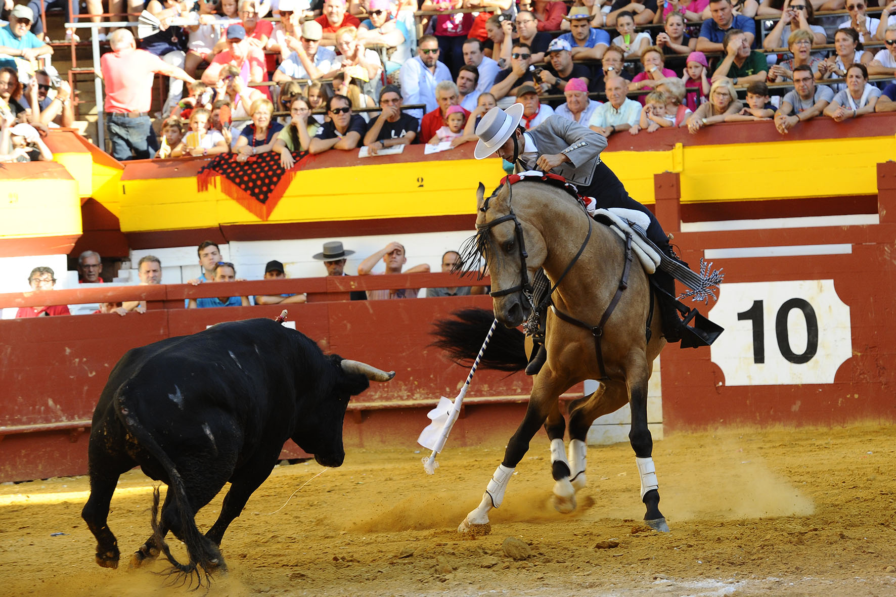 Algemesí (Valencia) - Festejo de rejones - Domingo 30 de septiembre de 2018