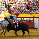 Algemesí (Valencia) - Festejo de rejones - Domingo 30 de septiembre de 2018