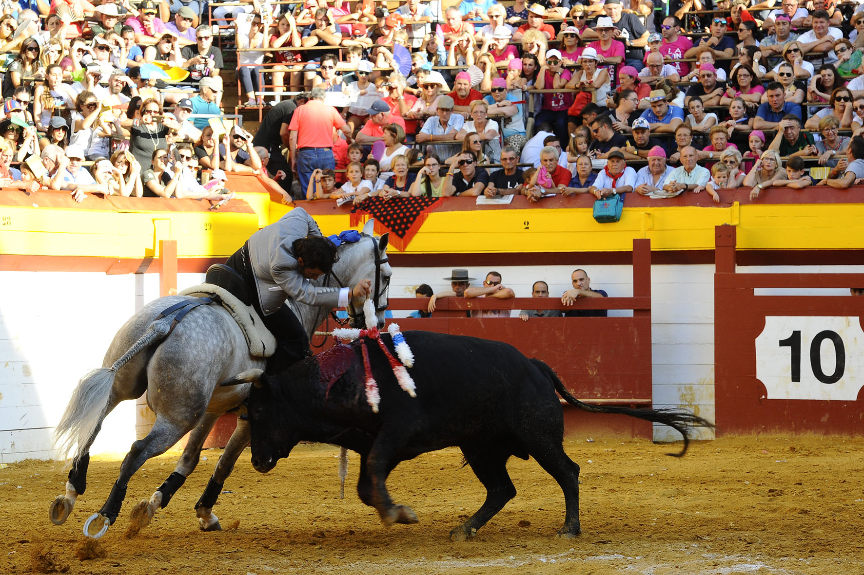 Algemesí (Valencia) - Festejo de rejones - Domingo 30 de septiembre de 2018