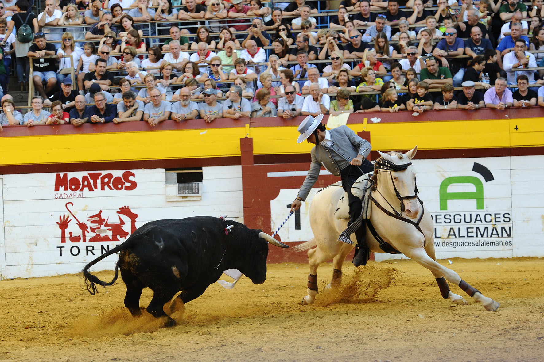 Algemesí (Valencia) - Festejo de rejones - Domingo 30 de septiembre de 2018