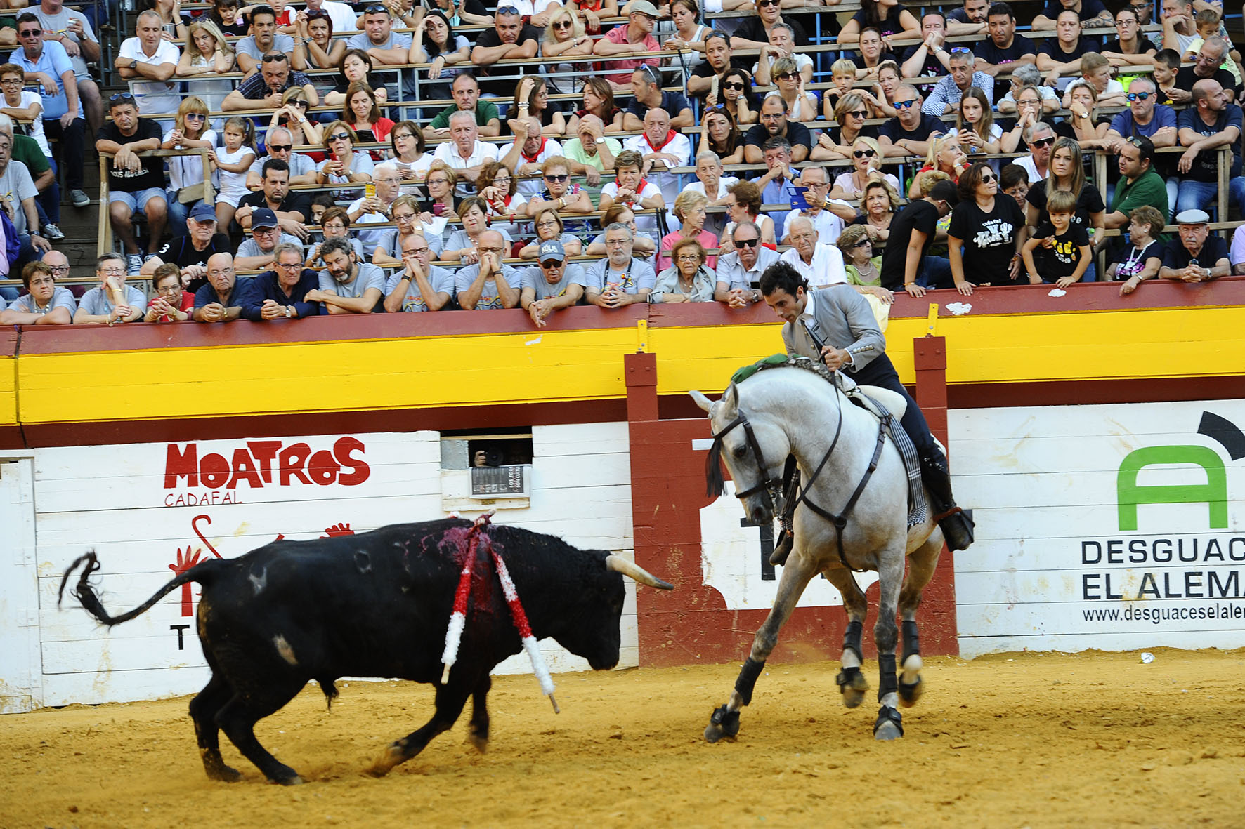 Algemesí (Valencia) - Festejo de rejones - Domingo 30 de septiembre de 2018