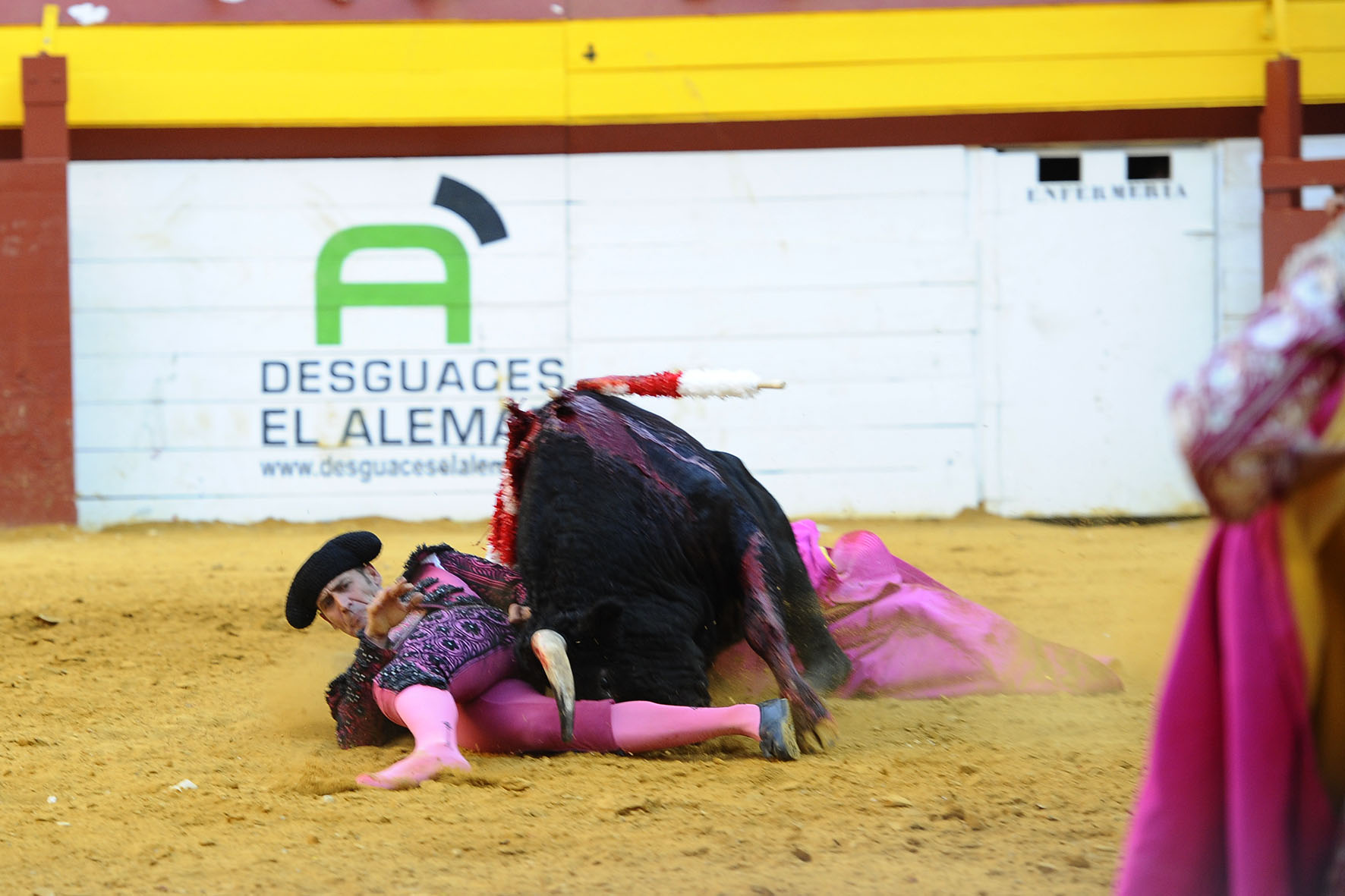 Algemesí (Valencia) - Festejo de rejones - Domingo 30 de septiembre de 2018