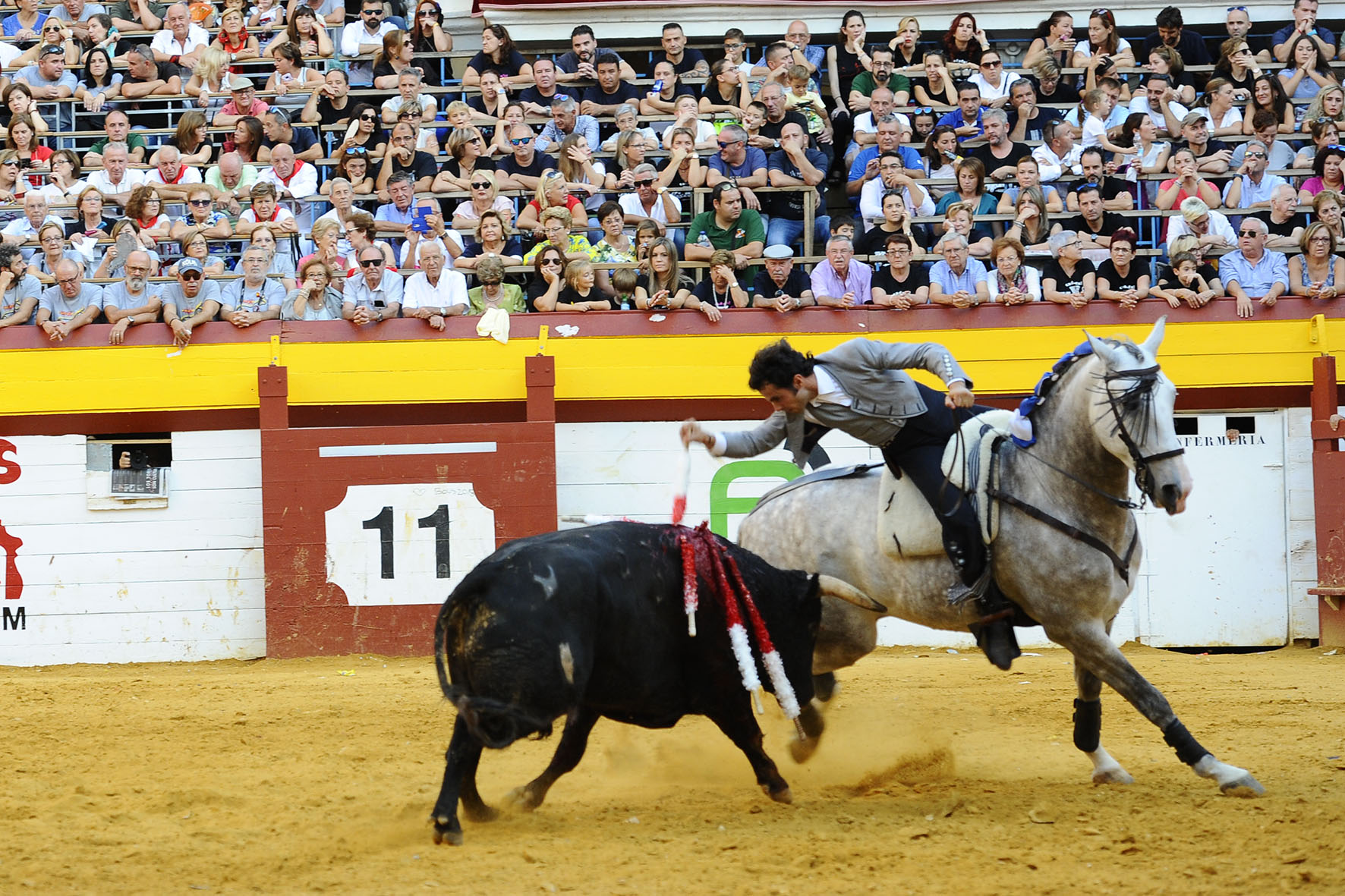 Algemesí (Valencia) - Festejo de rejones - Domingo 30 de septiembre de 2018