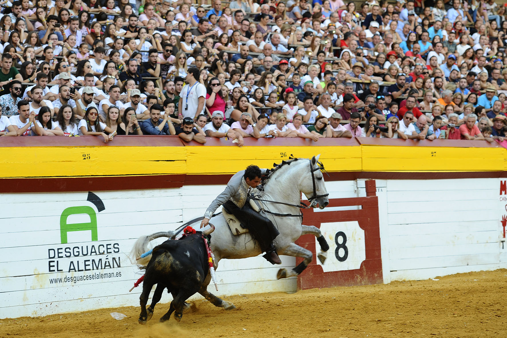 Algemesí (Valencia) - Festejo de rejones - Domingo 30 de septiembre de 2018
