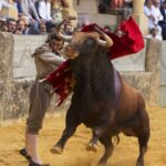 Ronda (Málaga) - Corrida Goyesca - Sábado 1 de septiembre de 2018