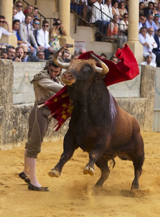 Ronda (Málaga) - Corrida Goyesca - Sábado 1 de septiembre de 2018
