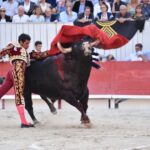 Arles (Francia) - Corrida de toros - Domingo 9 de septiembre de 2018
