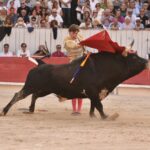 Arles (Francia) - Corrida de toros - Domingo 9 de septiembre de 2018