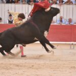 Arles (Francia) - Corrida de toros - Domingo 9 de septiembre de 2018