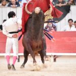 Arles (Francia) - Corrida de toros - Domingo 9 de septiembre de 2018