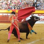 Algemesí, 22 de septiembre de 2018