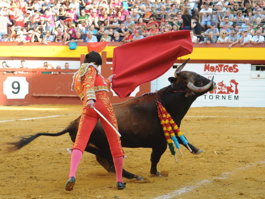 Algemesí, 22 de septiembre de 2018
