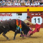 Algemesí, 22 de septiembre de 2018