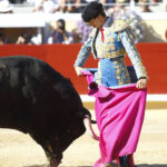 Bayona (Francia) - Corrida de toros - Sábado 1 de septiembre de 2018