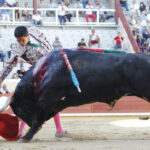 Bayona (Francia) - Corrida de toros - Sábado 1 de septiembre de 2018