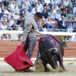 Bayona (Francia) - Corrida de toros - Sábado 1 de septiembre de 2018