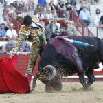 Bayona (Francia) - Corrida de toros - Sábado 1 de septiembre de 2018