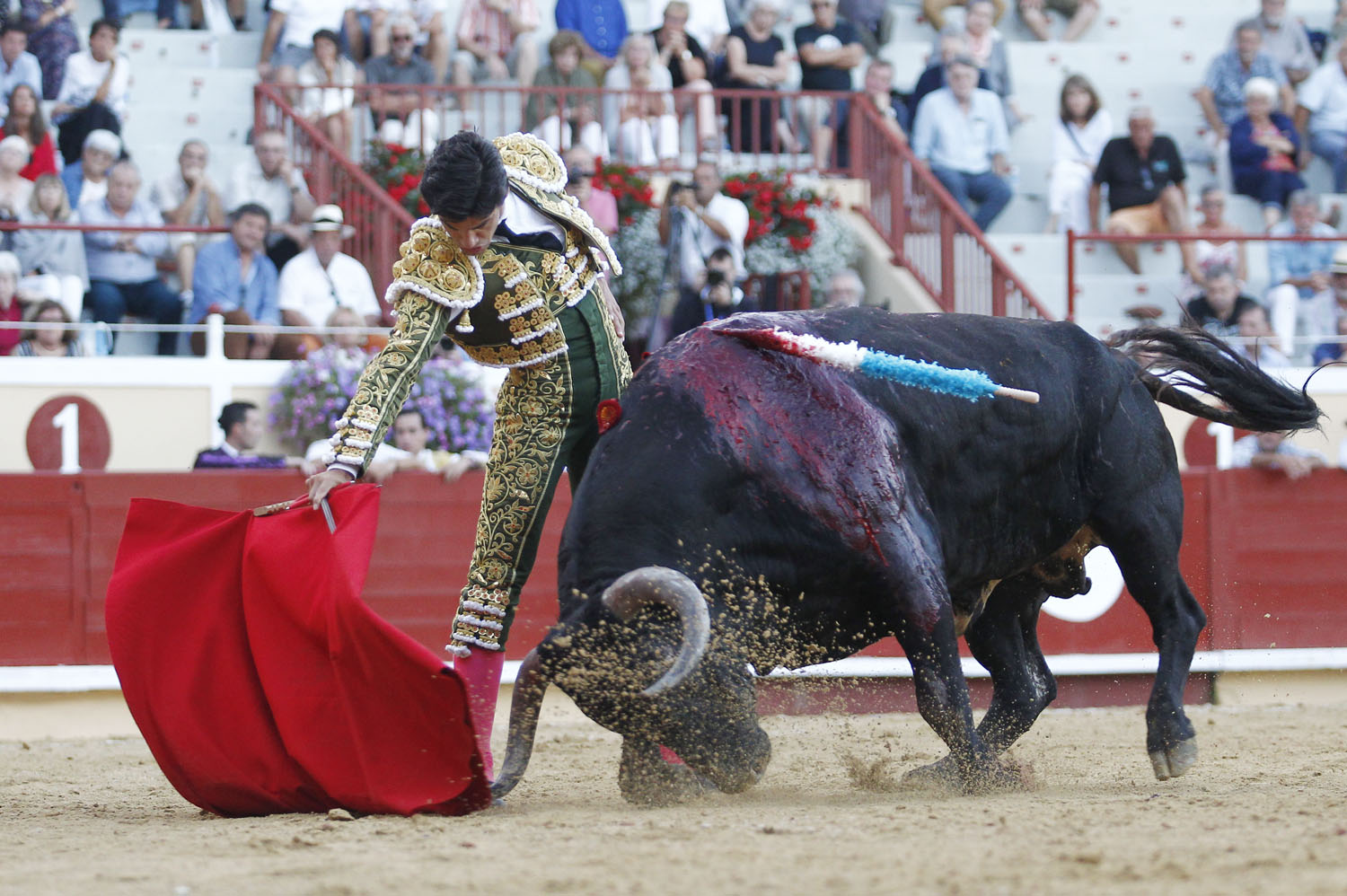 Bayona (Francia) - Corrida de toros - Sábado 1 de septiembre de 2018