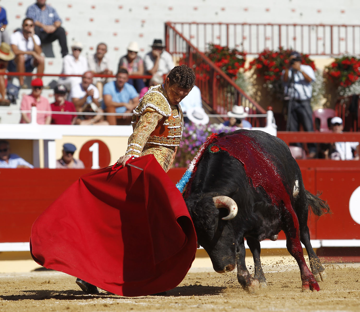 Bayona (Francia) - Novillada picada - Domingo 2 de septiembre de 2018