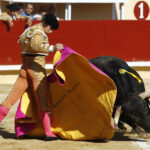 Bayona (Francia) - Novillada picada - Domingo 2 de septiembre de 2018