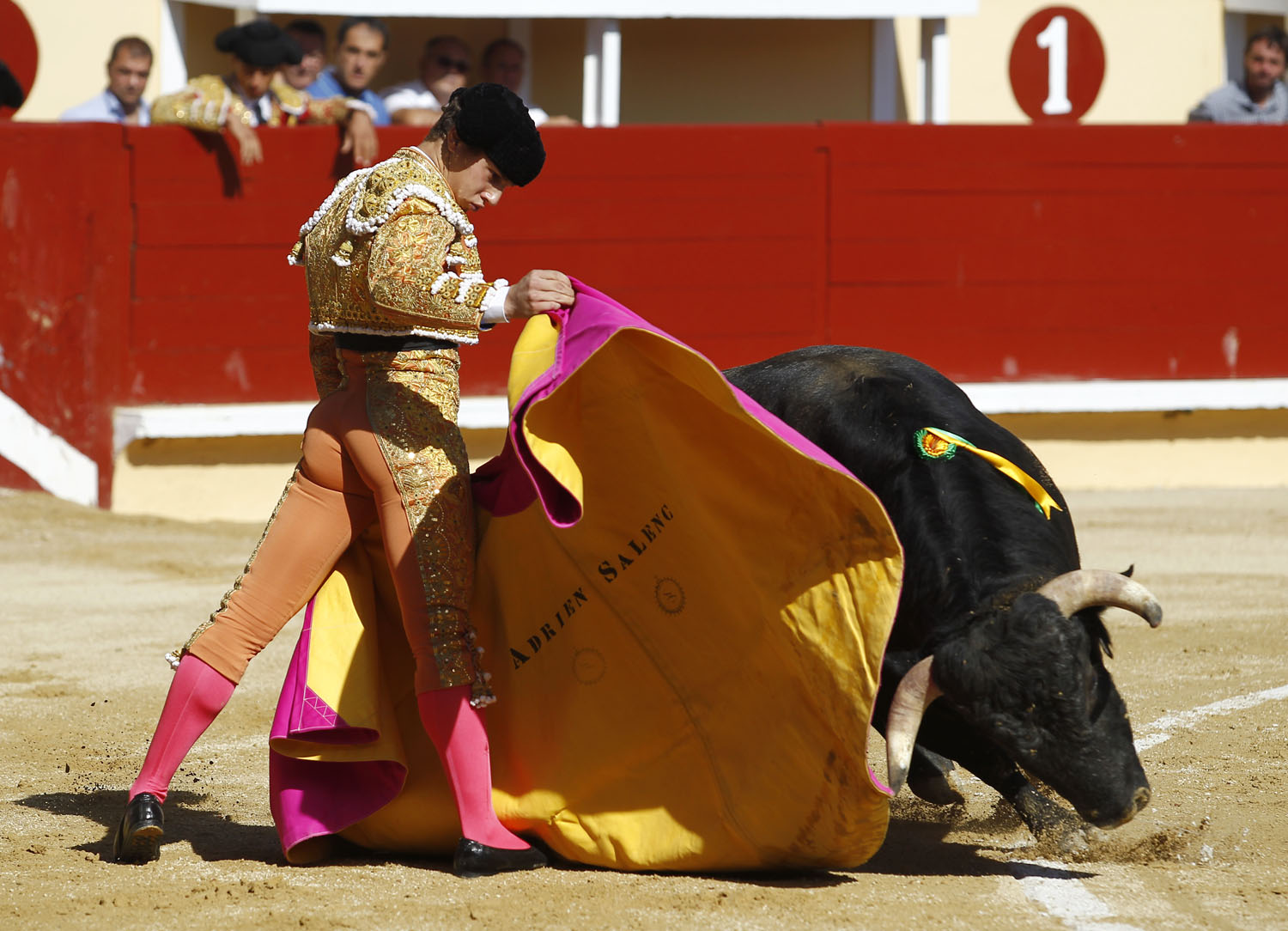 Bayona (Francia) - Novillada picada - Domingo 2 de septiembre de 2018
