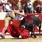 Bayona (Francia) - Novillada picada - Domingo 2 de septiembre de 2018