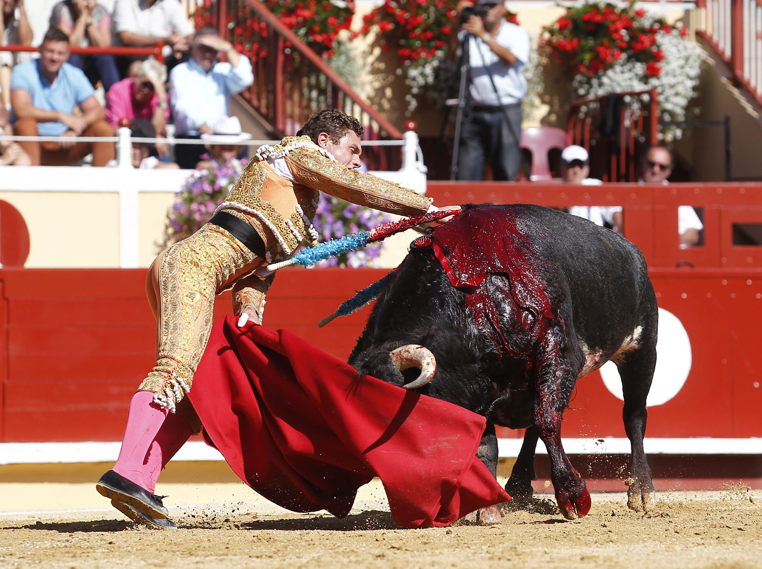 Bayona (Francia) - Novillada picada - Domingo 2 de septiembre de 2018