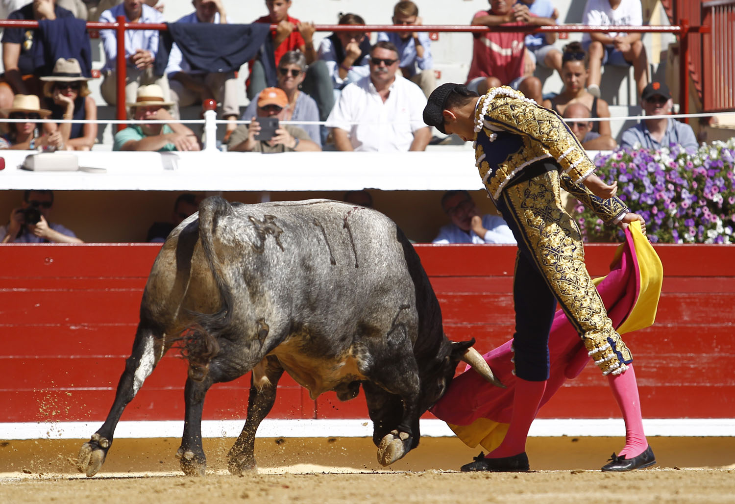 Bayona (Francia) - Novillada picada - Domingo 2 de septiembre de 2018