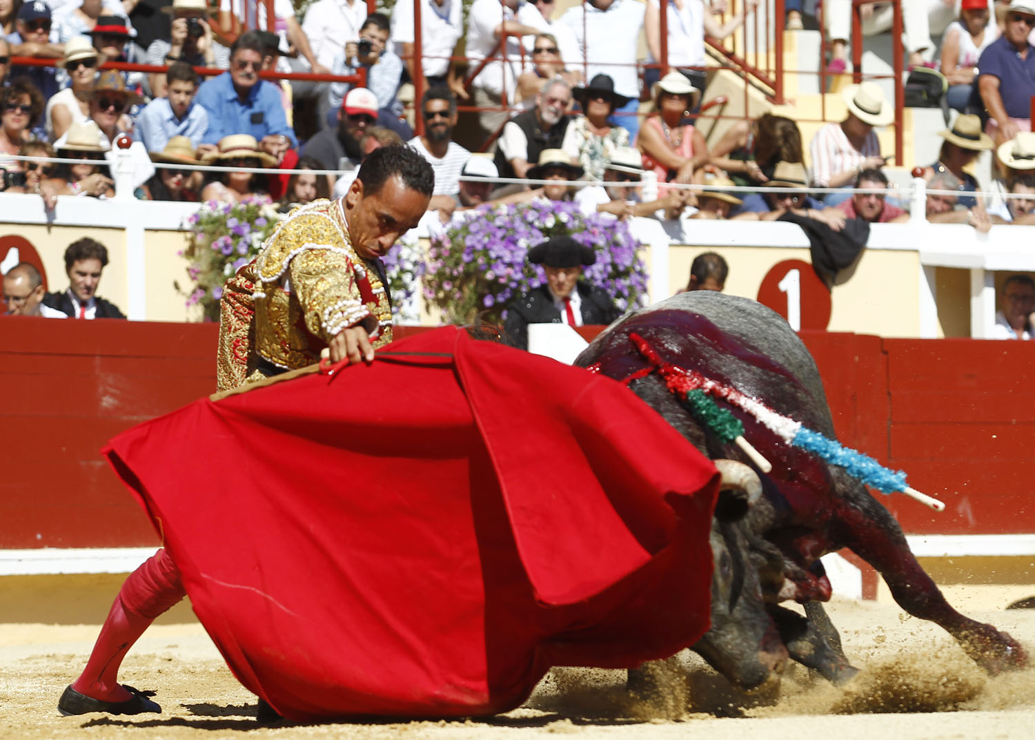 Bayona (Francia) - Novillada picada - Domingo 2 de septiembre de 2018