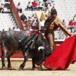 Bayona (Francia) - Novillada picada - Domingo 2 de septiembre de 2018