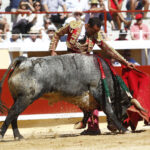 Bayona (Francia) - Novillada picada - Domingo 2 de septiembre de 2018