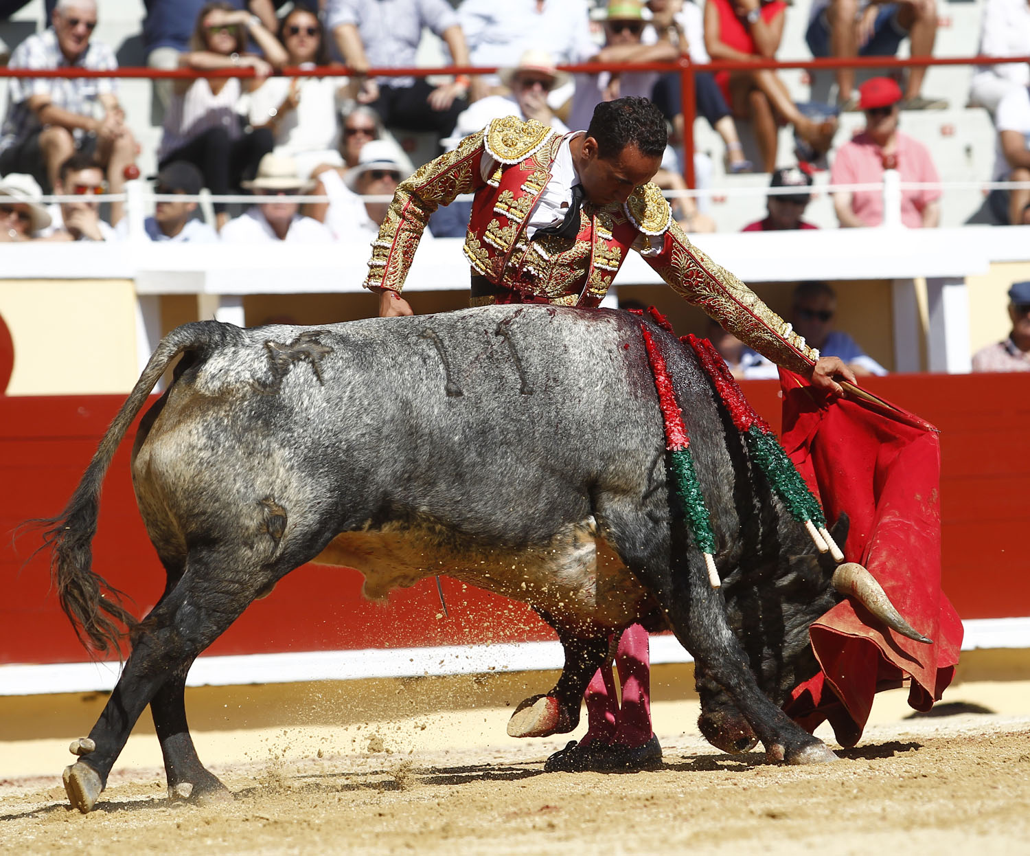 Bayona (Francia) - Novillada picada - Domingo 2 de septiembre de 2018