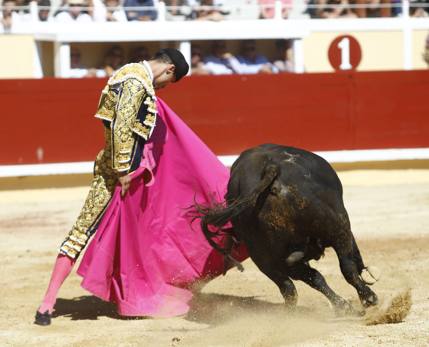 Bayona (Francia) - Novillada picada - Domingo 2 de septiembre de 2018