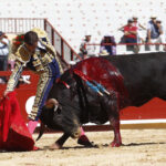 Bayona (Francia) - Novillada picada - Domingo 2 de septiembre de 2018