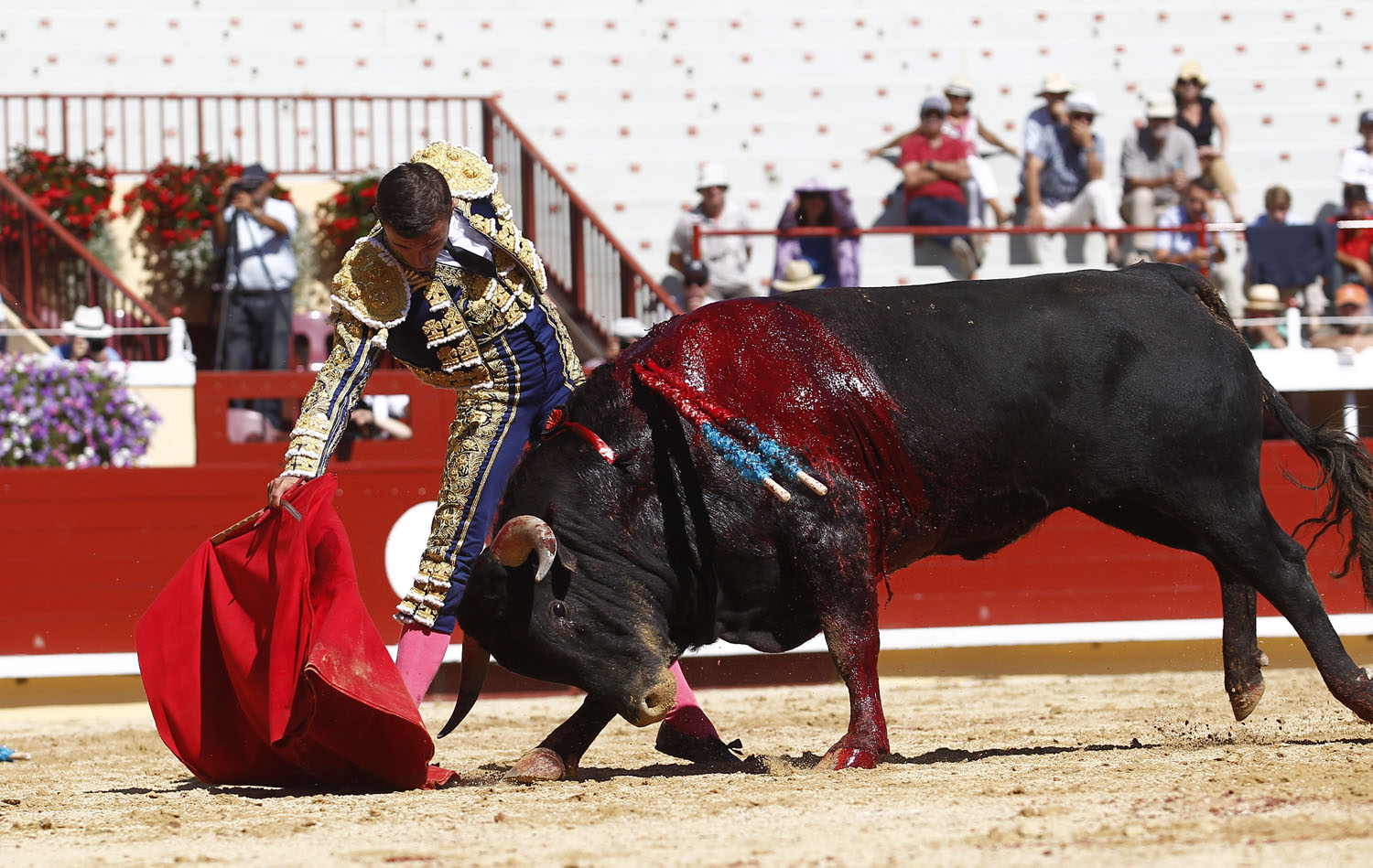 Bayona (Francia) - Novillada picada - Domingo 2 de septiembre de 2018