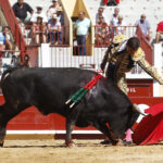 Bayona (Francia) - Novillada picada - Domingo 2 de septiembre de 2018