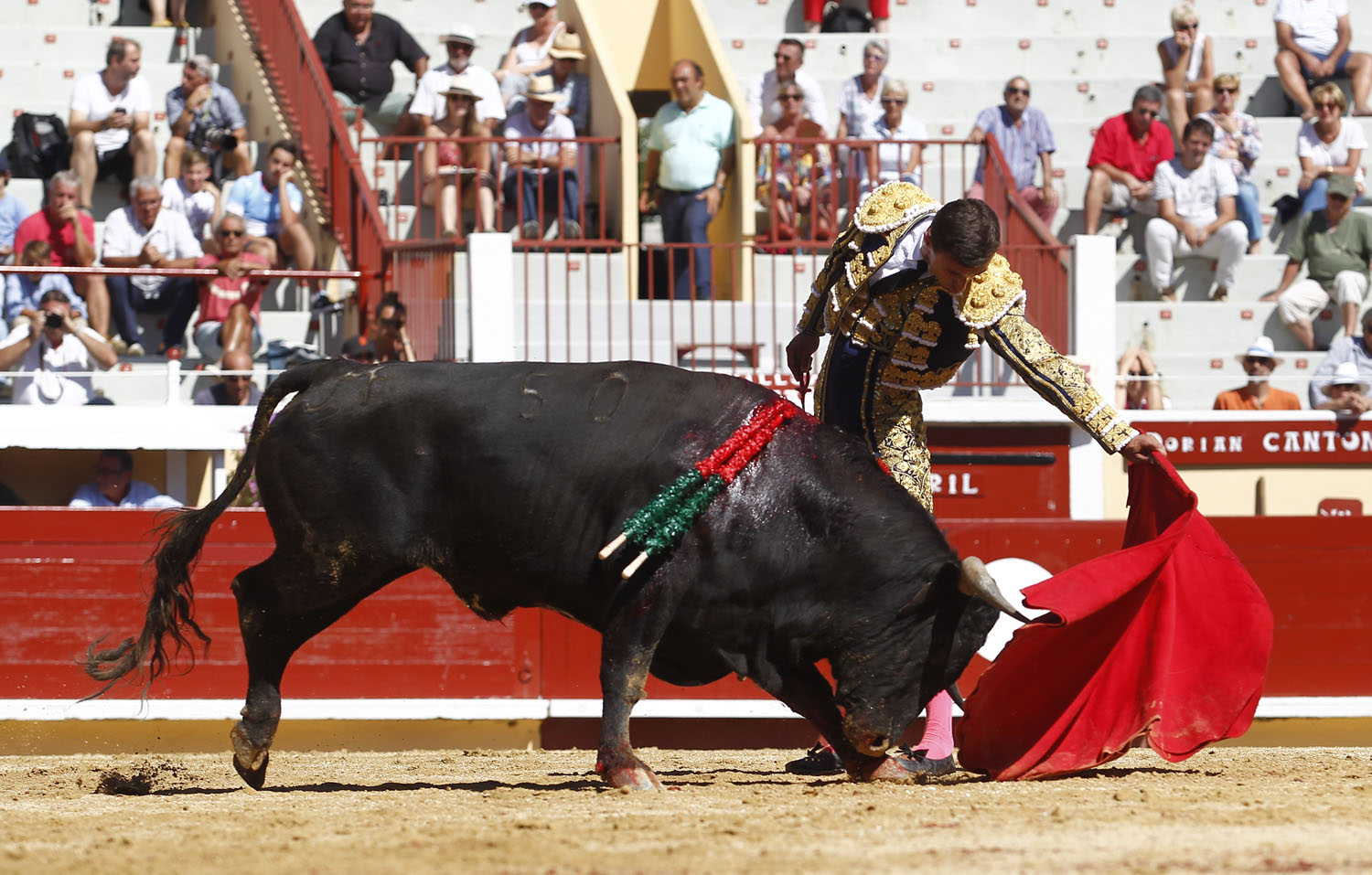 Bayona (Francia) - Novillada picada - Domingo 2 de septiembre de 2018