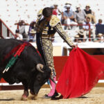 Bayona (Francia) - Novillada picada - Domingo 2 de septiembre de 2018