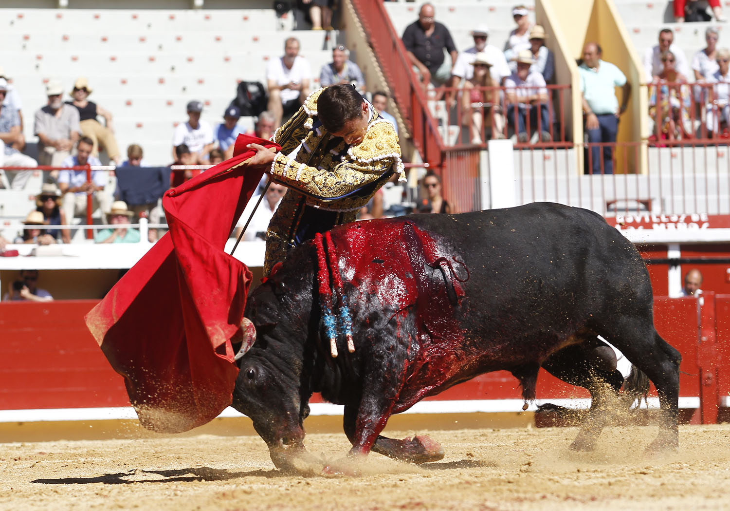 Bayona (Francia) - Novillada picada - Domingo 2 de septiembre de 2018