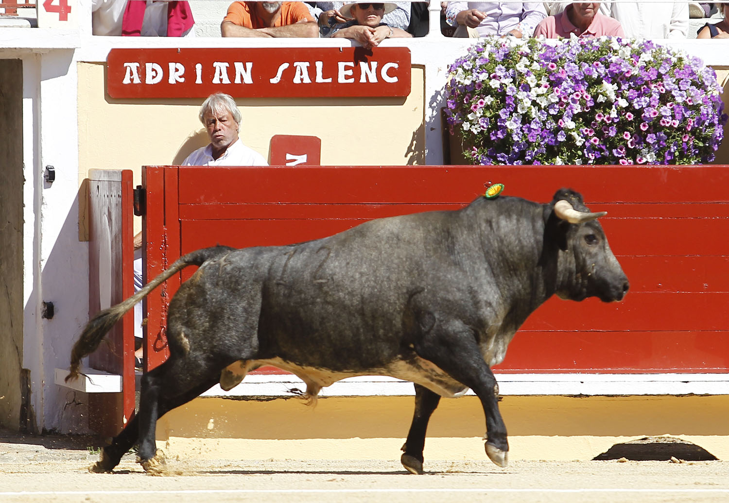 Bayona (Francia) - Novillada picada - Domingo 2 de septiembre de 2018