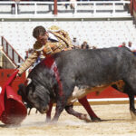 Bayona (Francia) - Novillada picada - Domingo 2 de septiembre de 2018