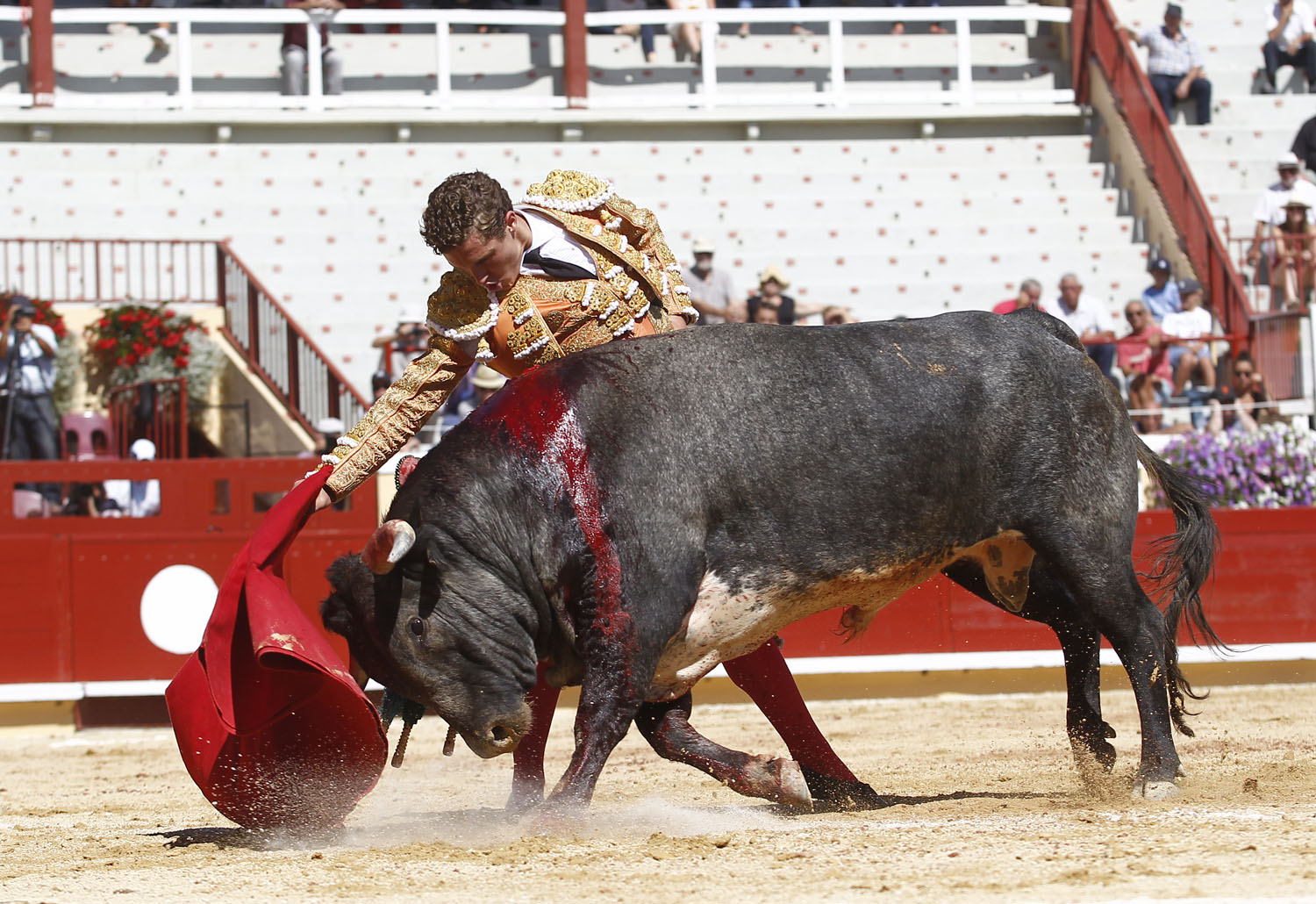 Bayona (Francia) - Novillada picada - Domingo 2 de septiembre de 2018
