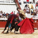 Bayona (Francia) - Novillada picada - Domingo 2 de septiembre de 2018