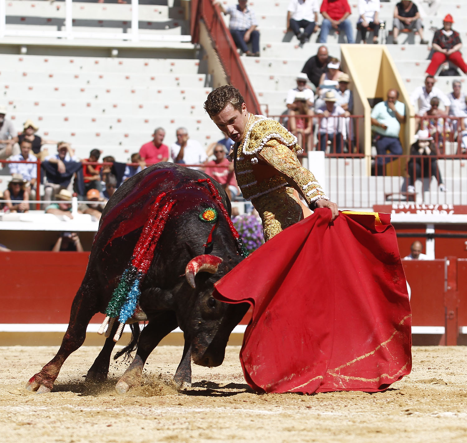 Bayona (Francia) - Novillada picada - Domingo 2 de septiembre de 2018