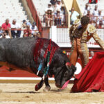 Bayona (Francia) - Novillada picada - Domingo 2 de septiembre de 2018