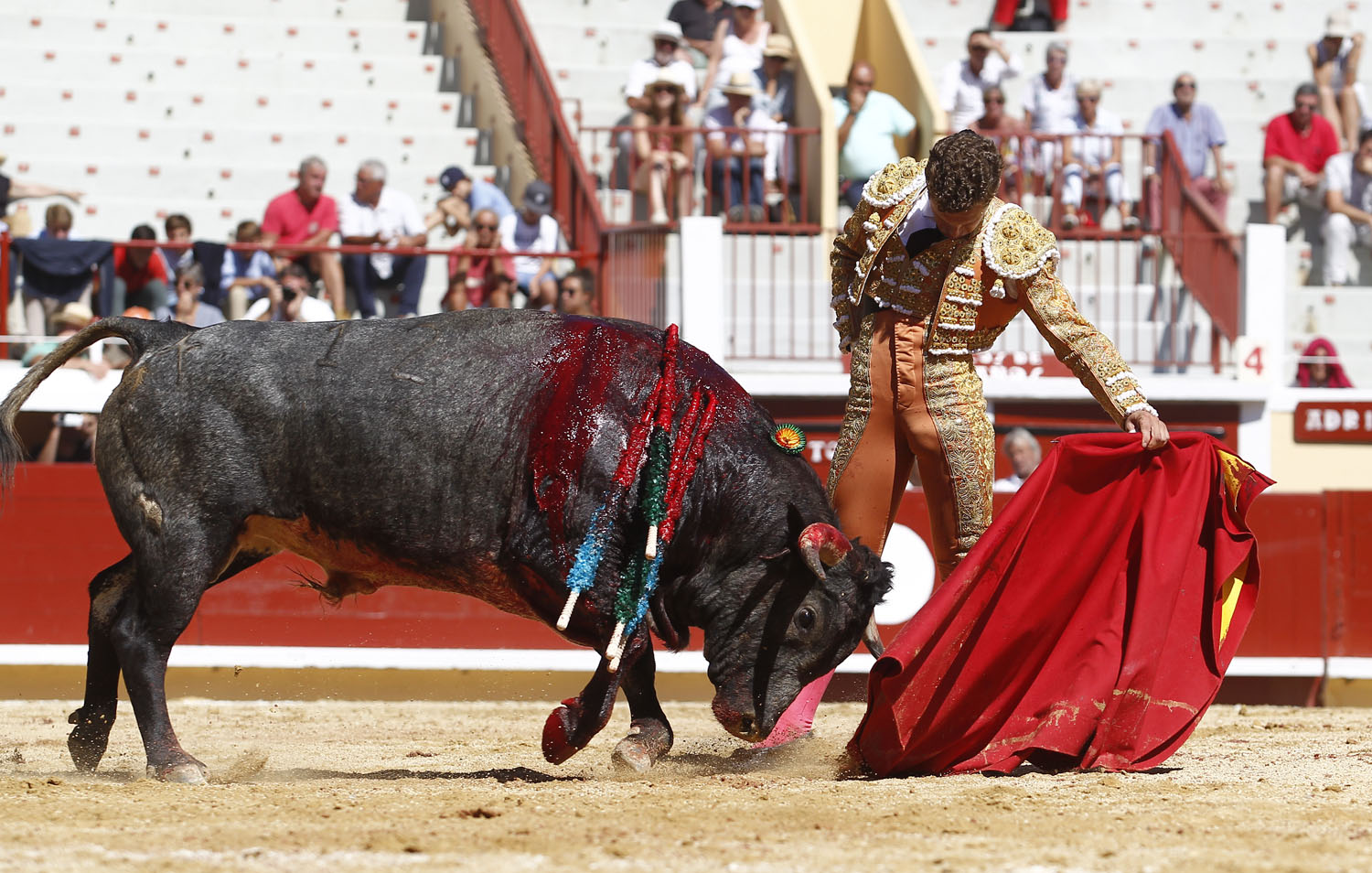 Bayona (Francia) - Novillada picada - Domingo 2 de septiembre de 2018